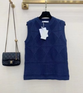블루 스웨터 조끼        D. Blue sweater vest