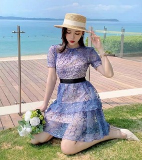 블루 메쉬 스팽글 자수 원피스    S. Blue mesh spangle embroidered dress